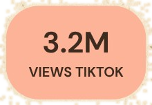 3.2M views TikTok